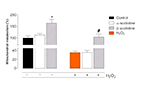 β-scoliidine, present in Japanese solitary wasp venom, protects neuronal cells from oxidative stress
