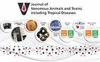 Building an electronic scientific journal: evolution and challenges
